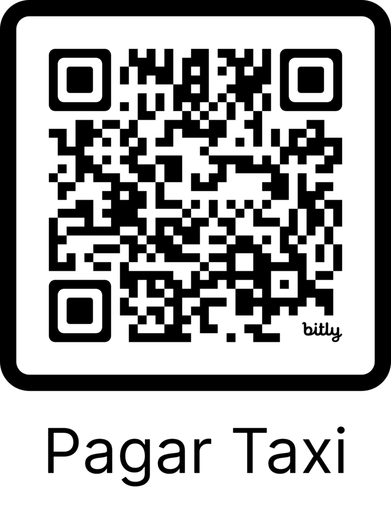 Pago de taxi pamplona